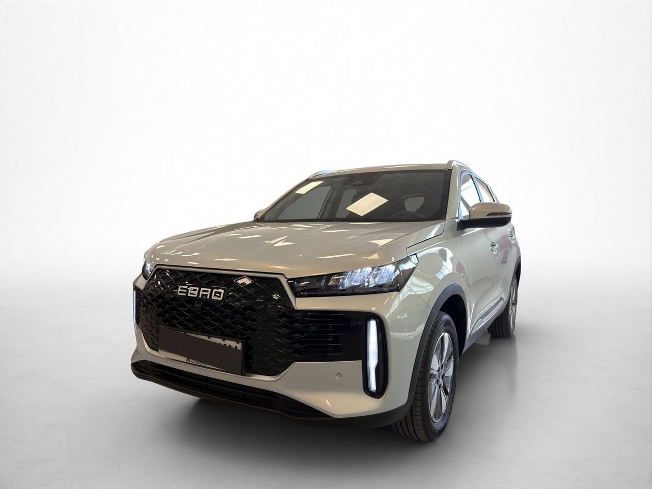 Imatge del vehicle 6