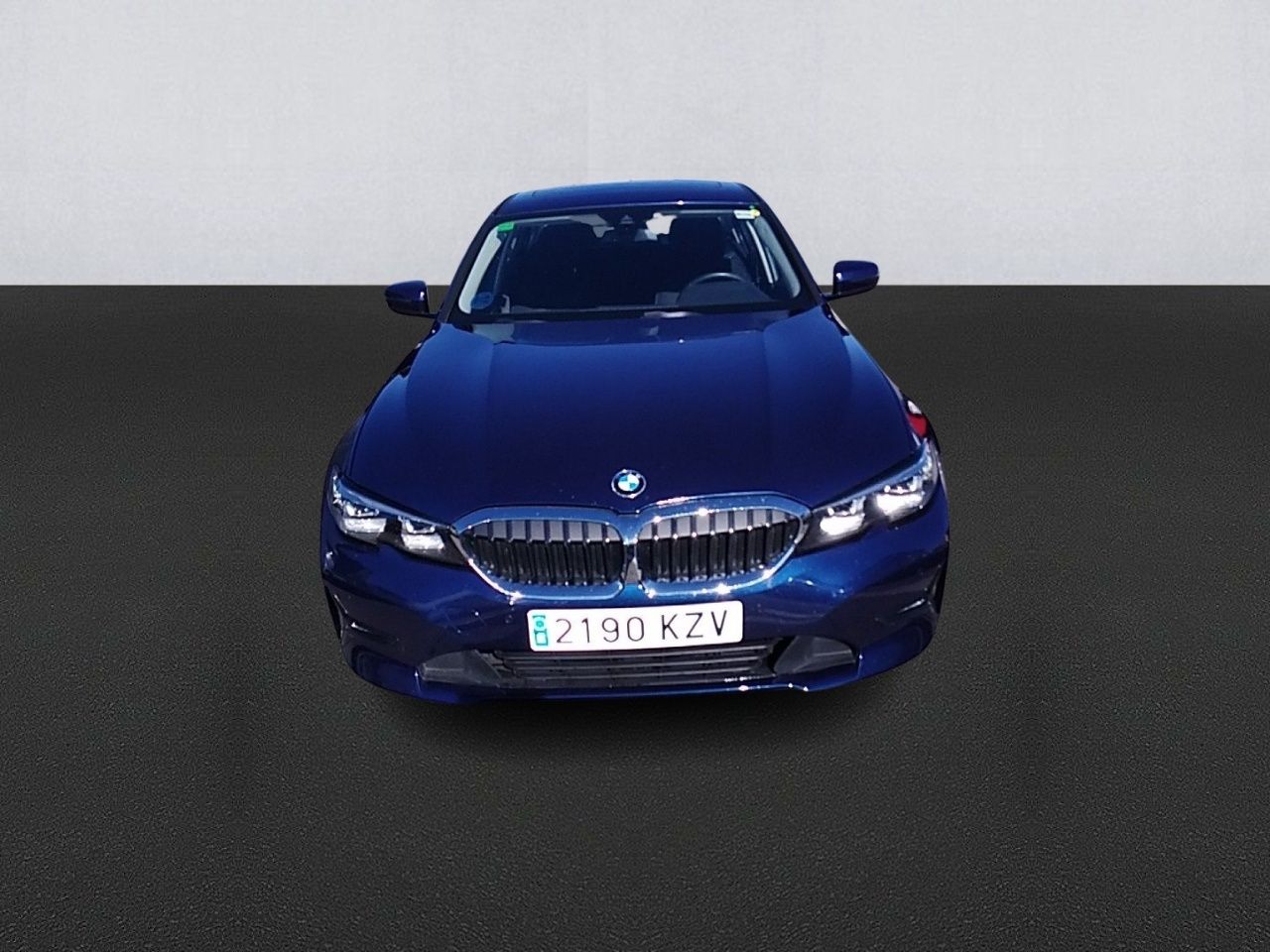bmw serie 3 2019 / foto grande (2)