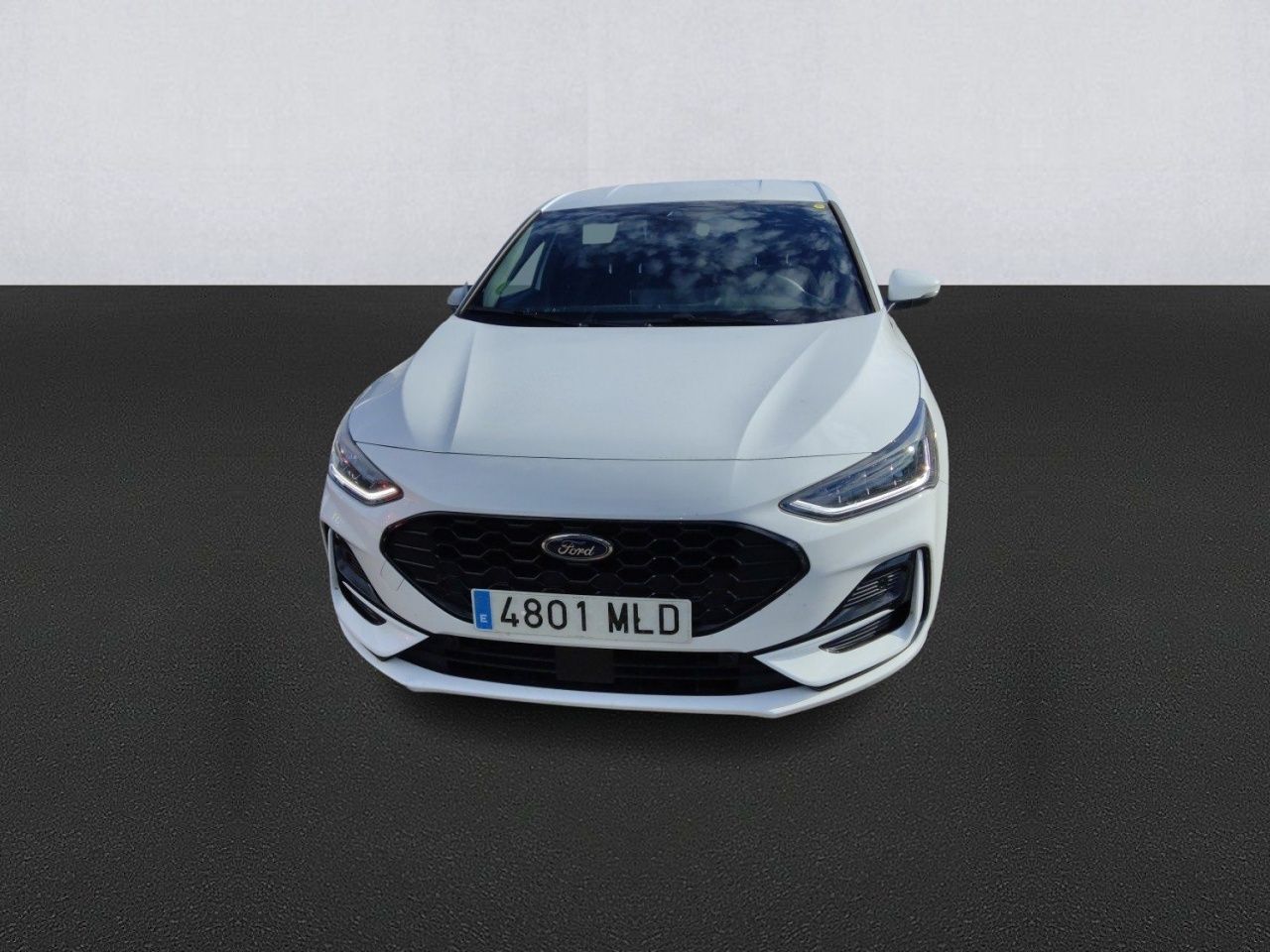 ford focus 2023 / foto grande (2)