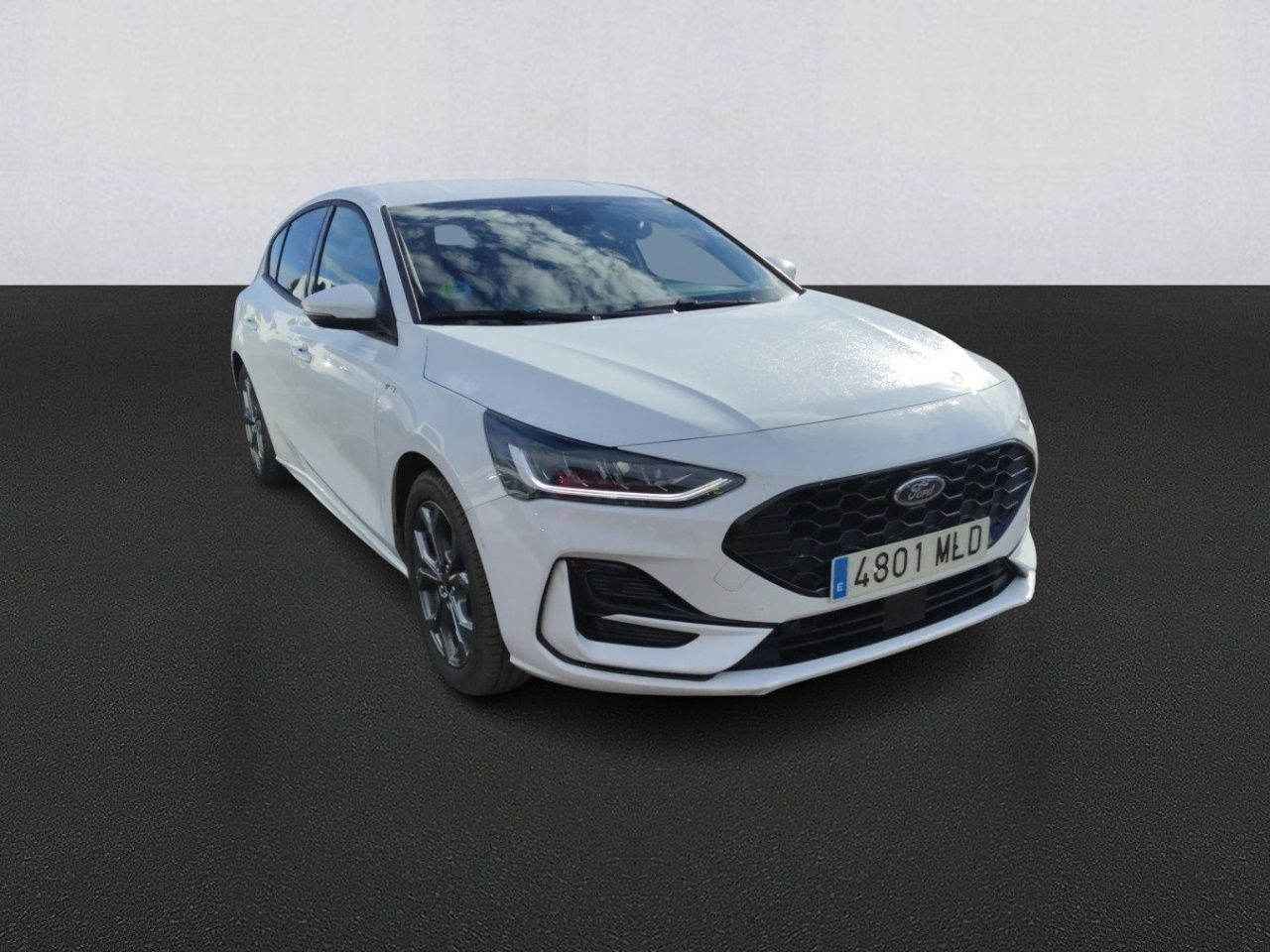 ford focus 2023 / foto grande (3)