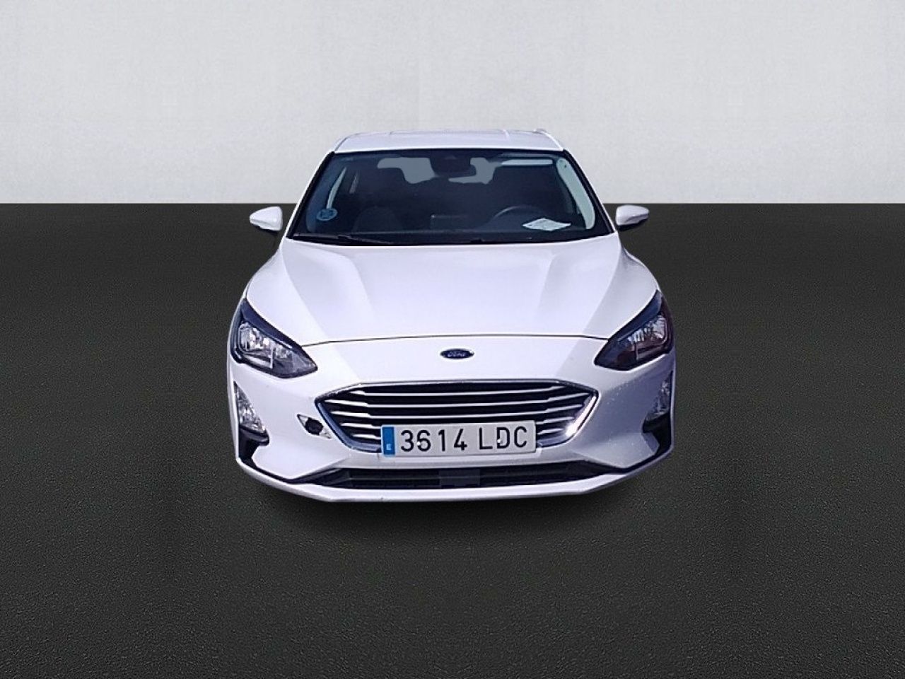 ford focus 2019 / foto grande (2)