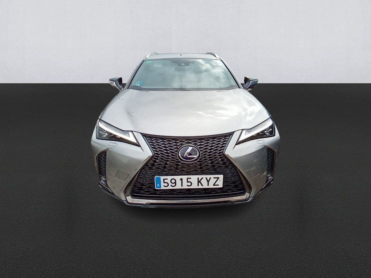 lexus ux 2019 / foto grande (2)