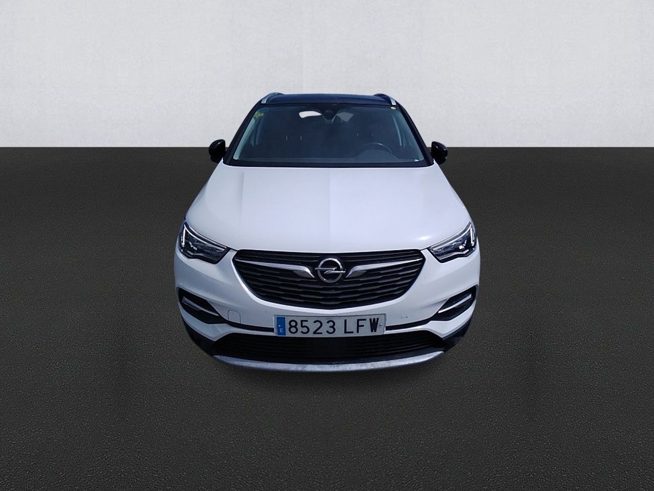 opel grandland x 2020 / foto grande (2)