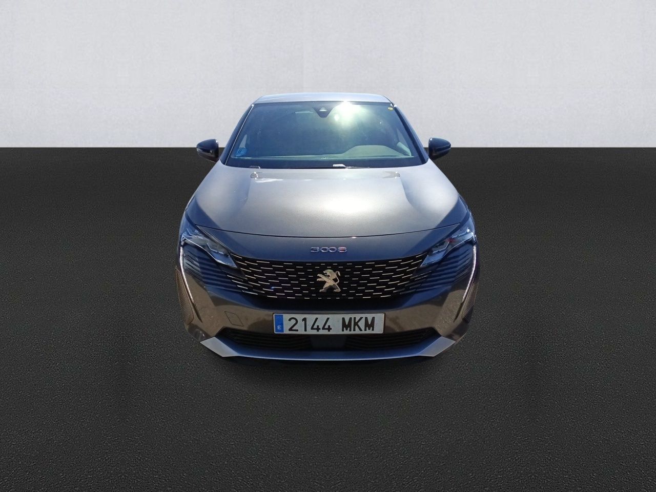 peugeot 3008 2023 / foto grande (2)
