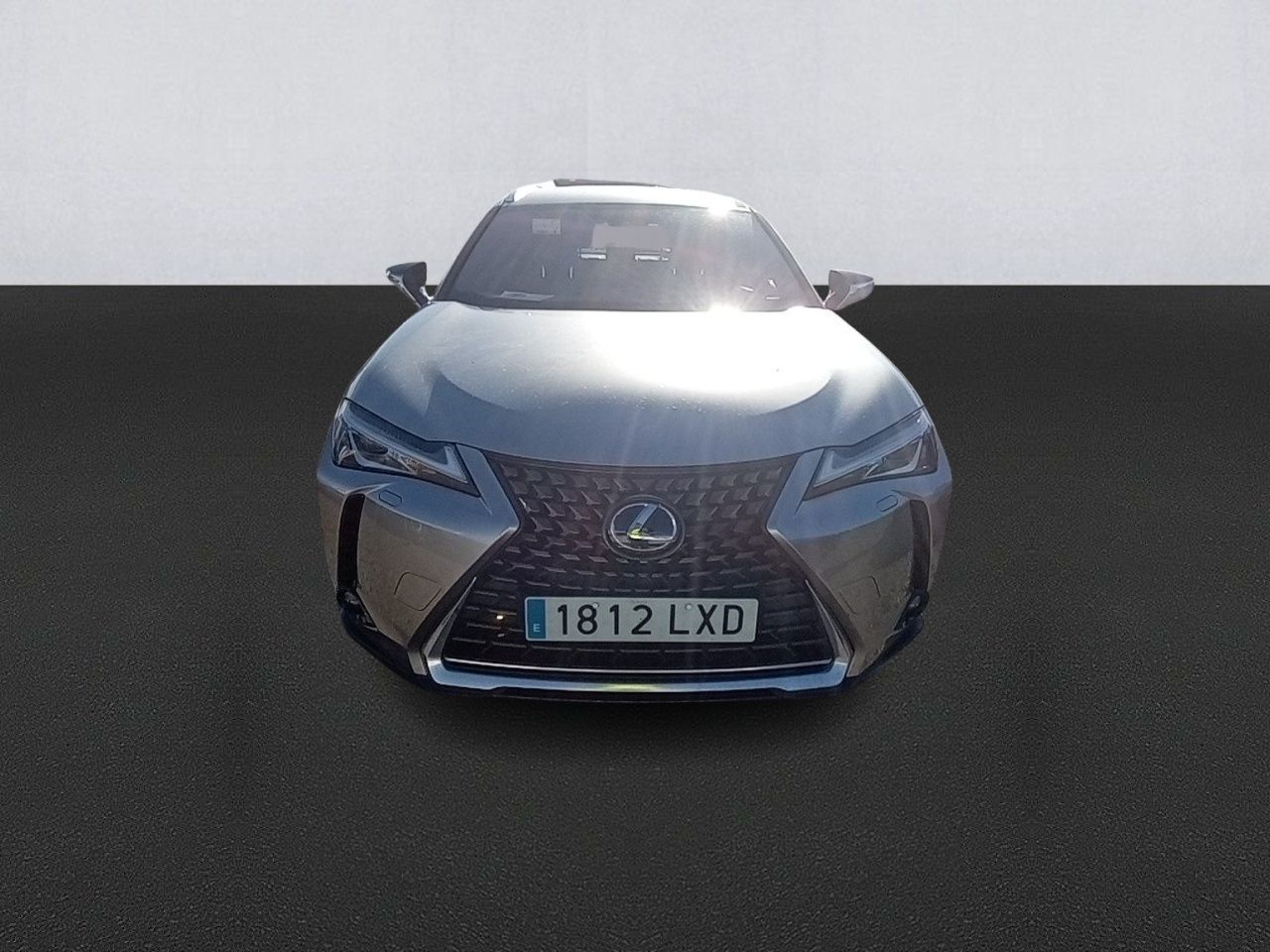 lexus ux 2022 / foto grande (2)