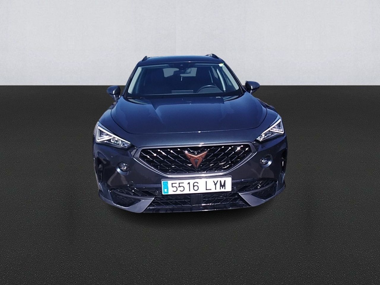 cupra formentor 2022 / foto grande (2)