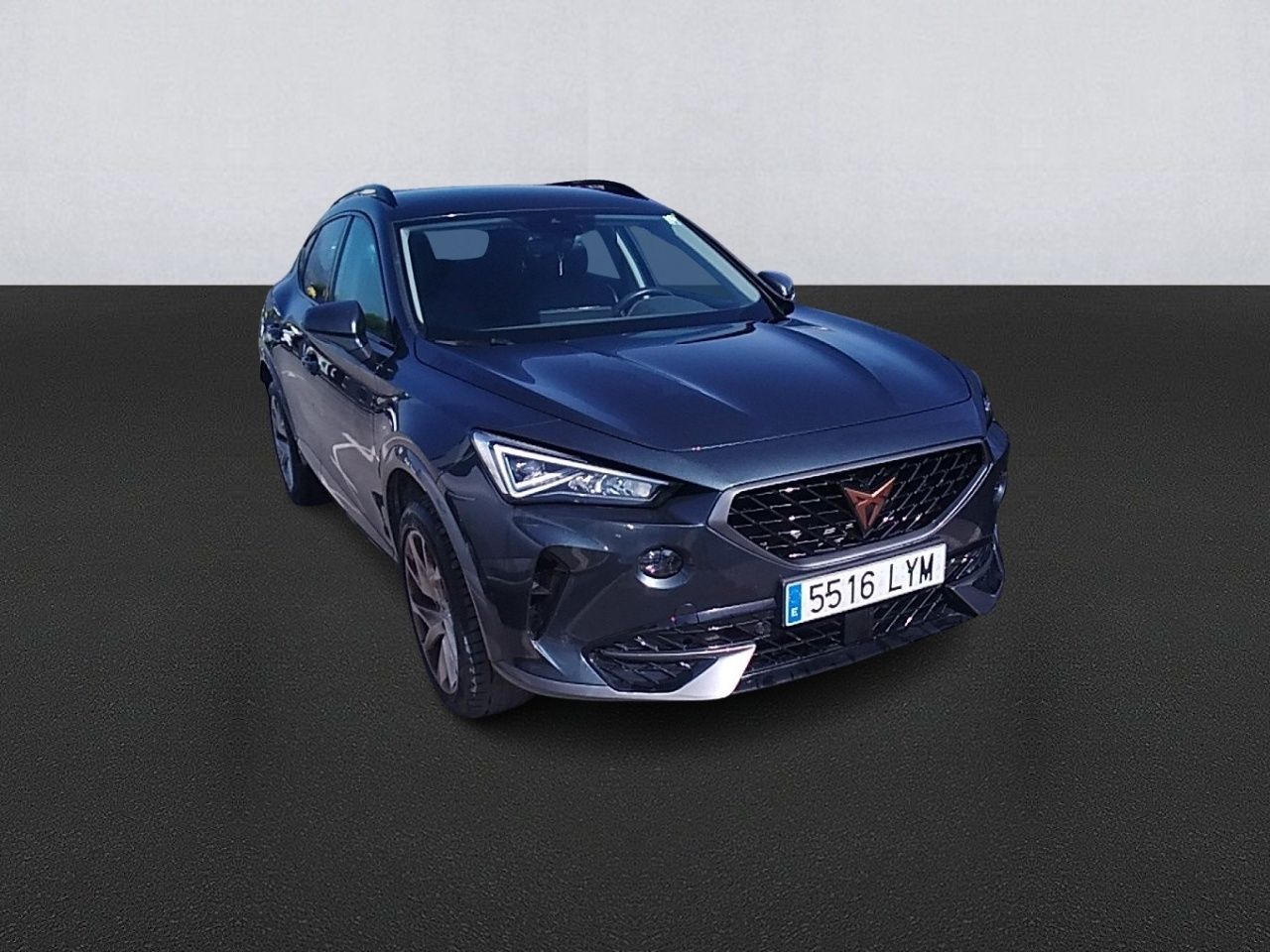 cupra formentor 2022 / foto grande (3)