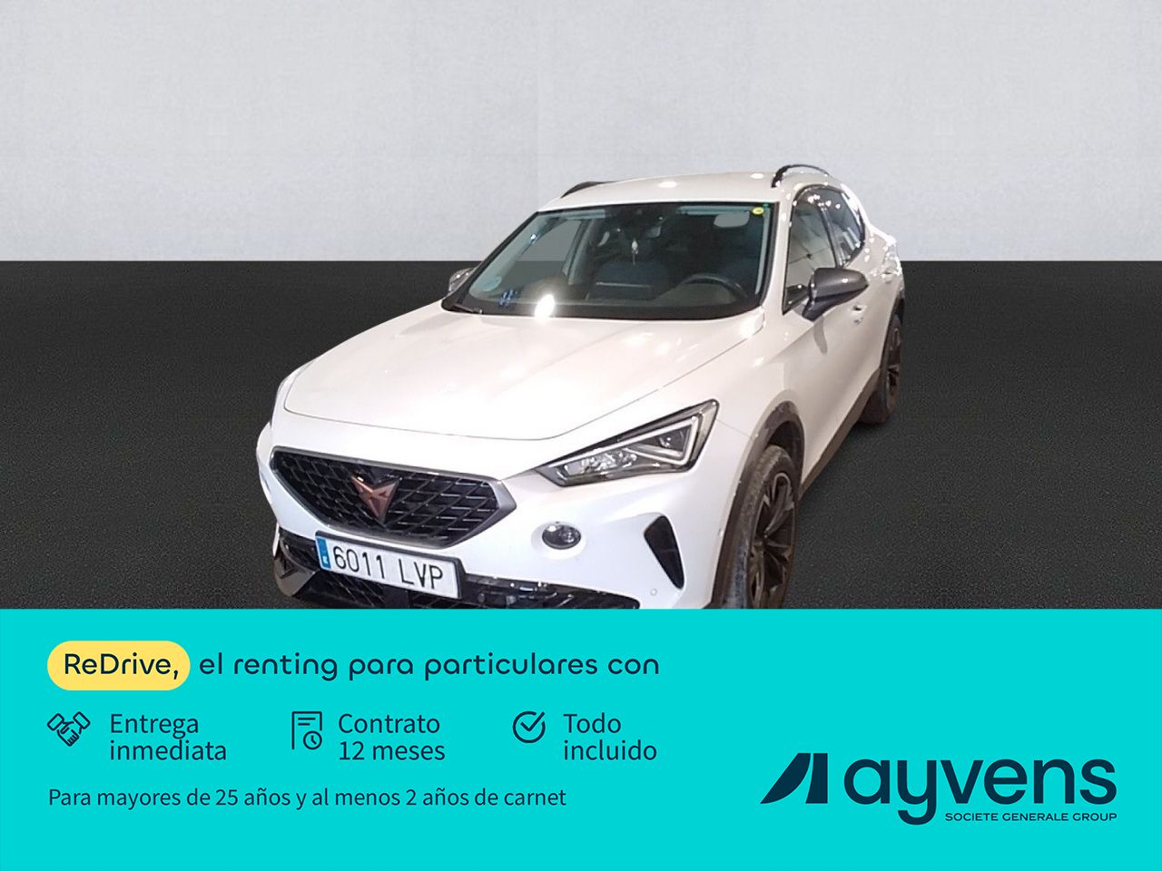 Cupra Formentor 2.0 Tdi 110kw (150 Cv)