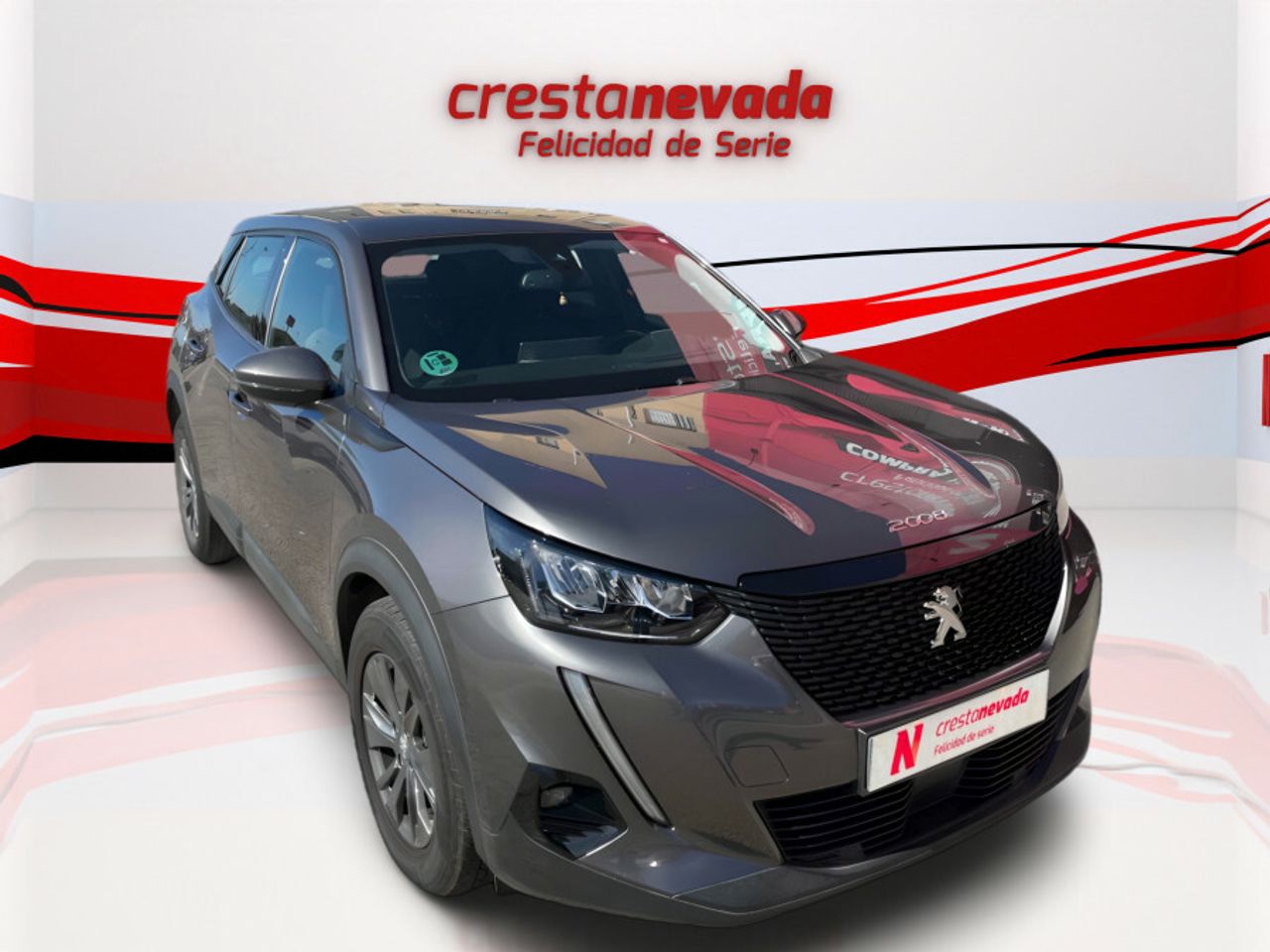 peugeot 2008 2021 / foto grande (3)