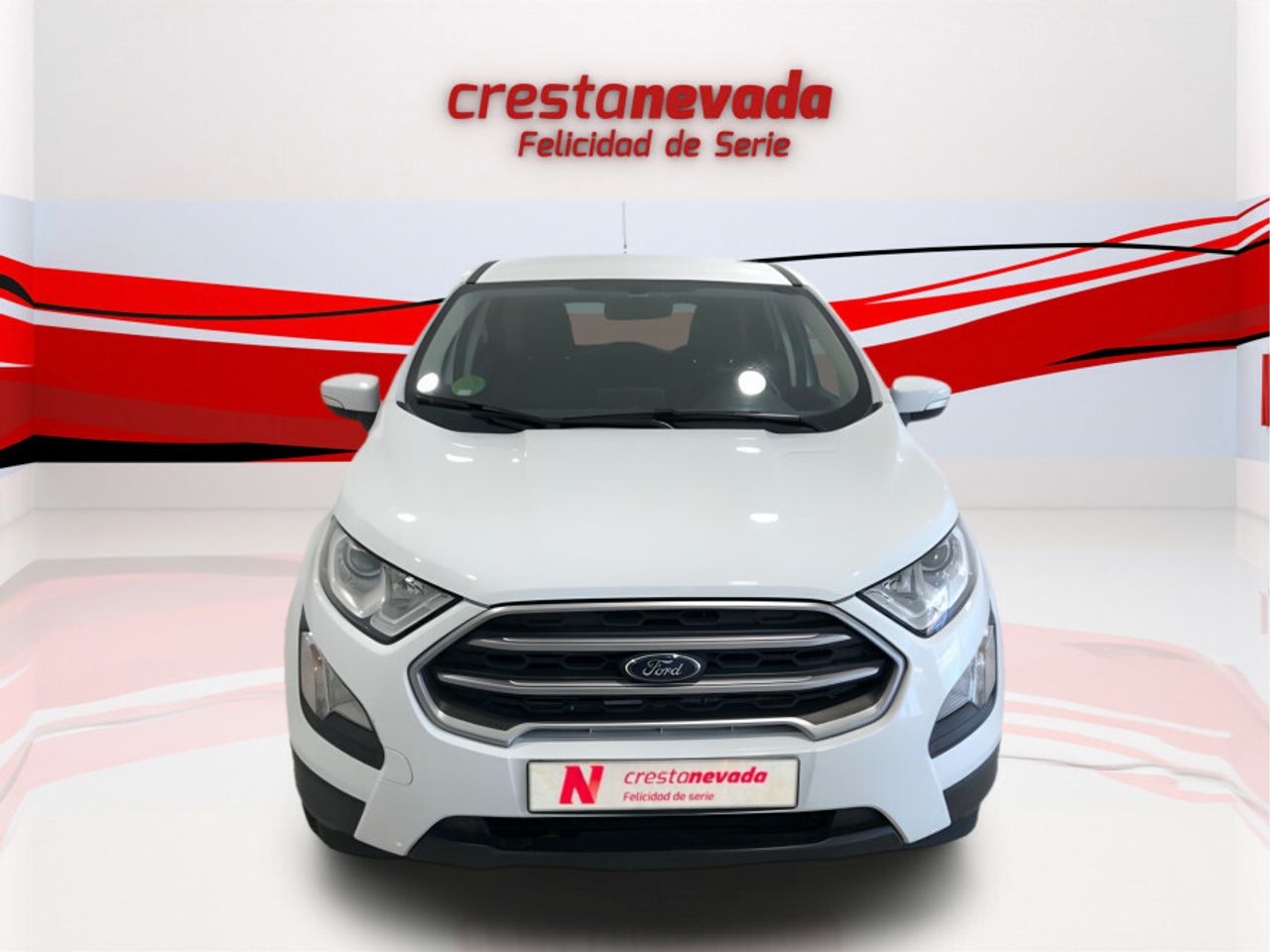 ford ecosport 2019 / foto grande (3)