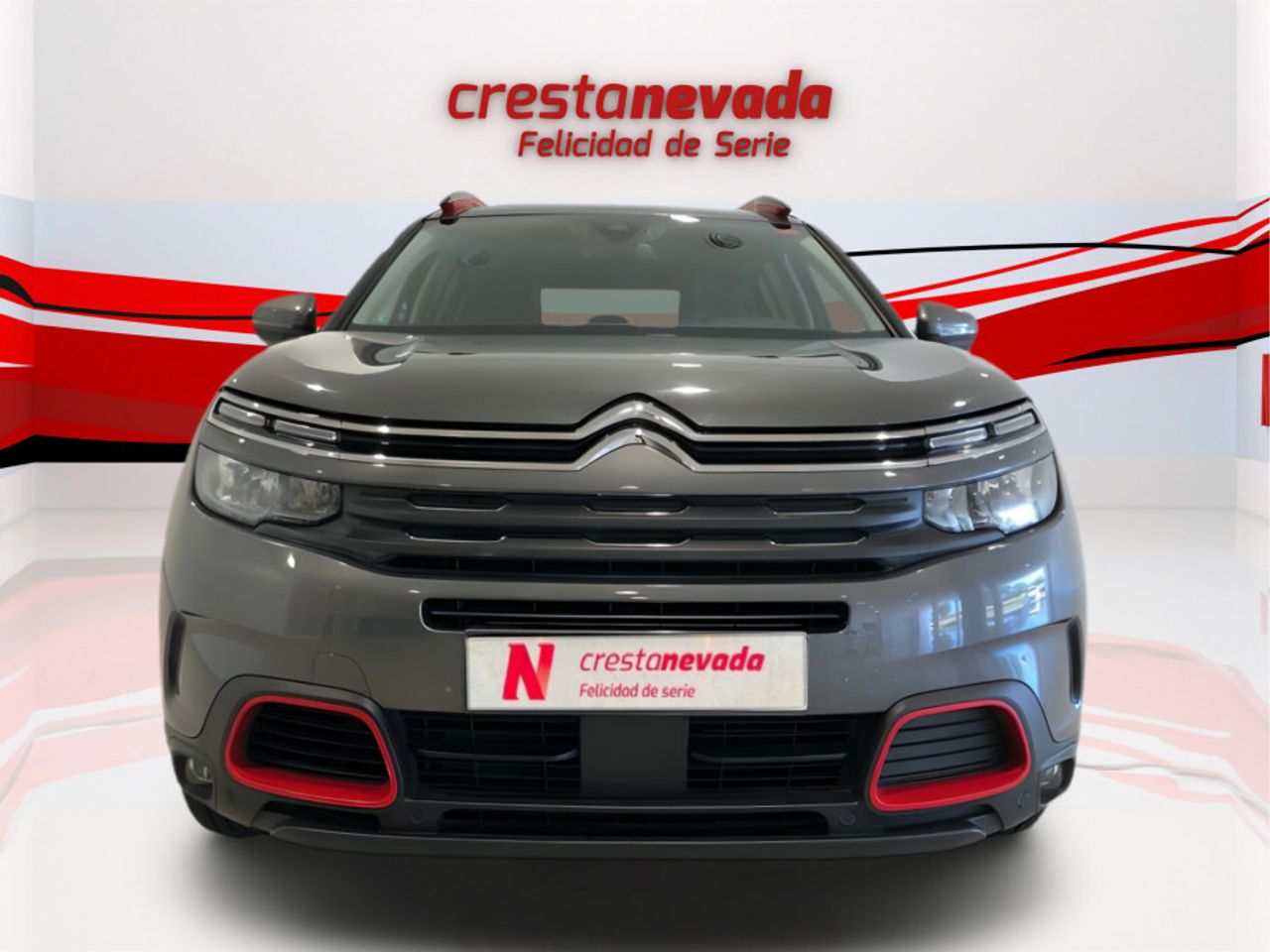 citroën c5 aircross 2019 / foto grande (2)