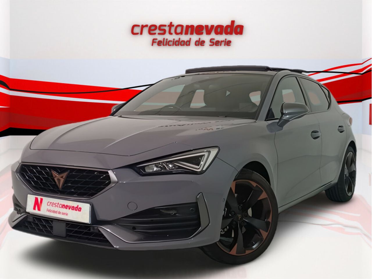 Foto cupra león 2022 /