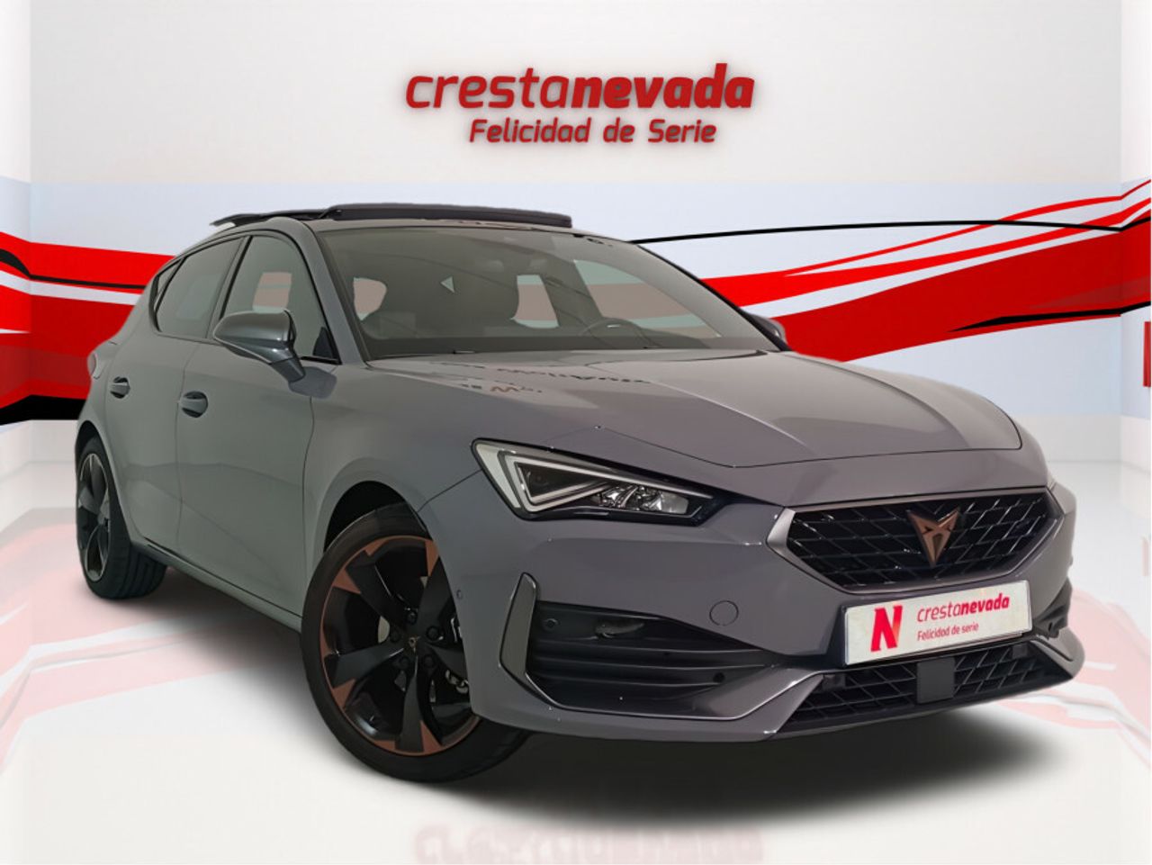 cupra león 2022 / foto grande (2)