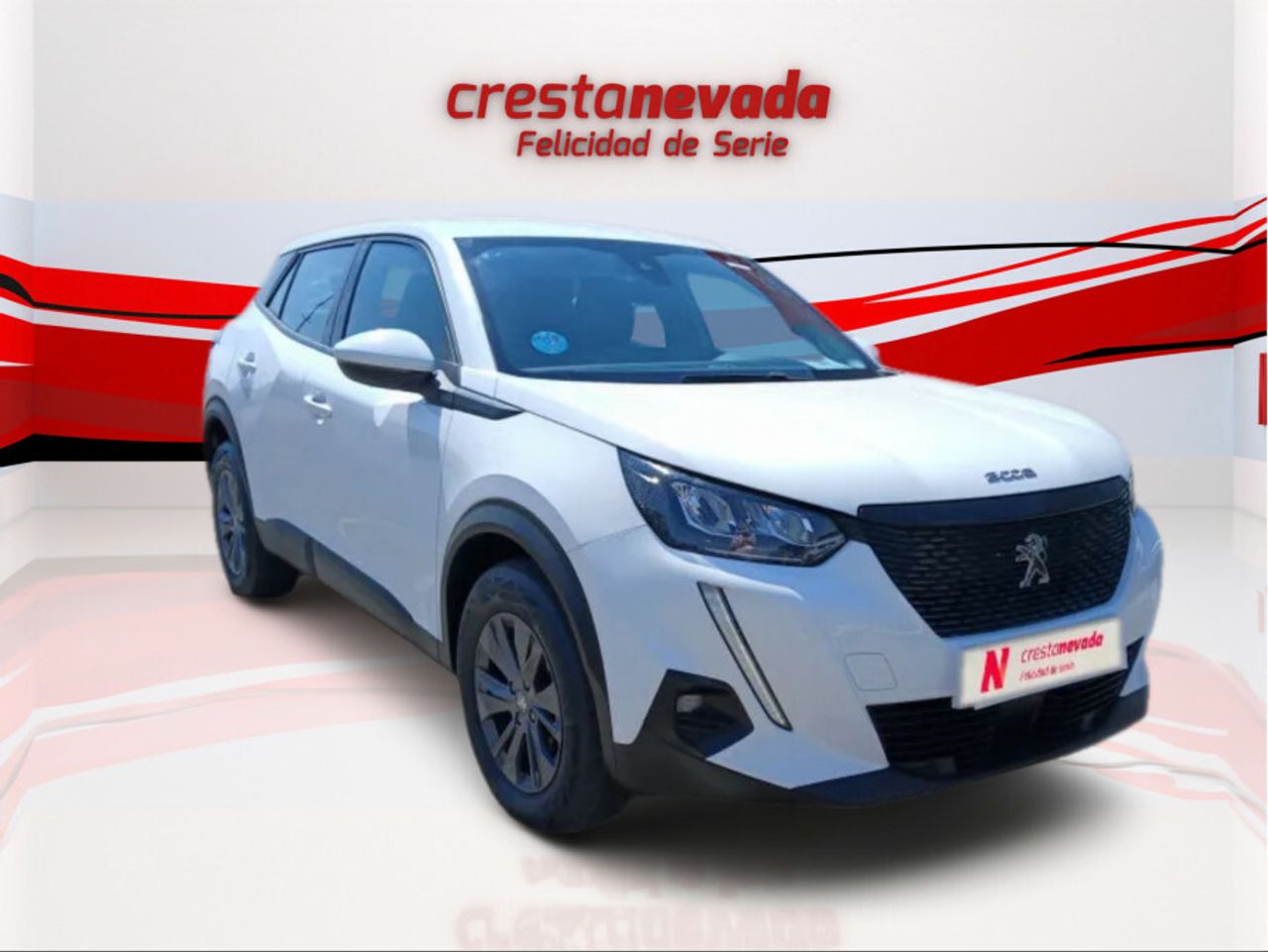 peugeot 2008 2020 / foto grande (3)