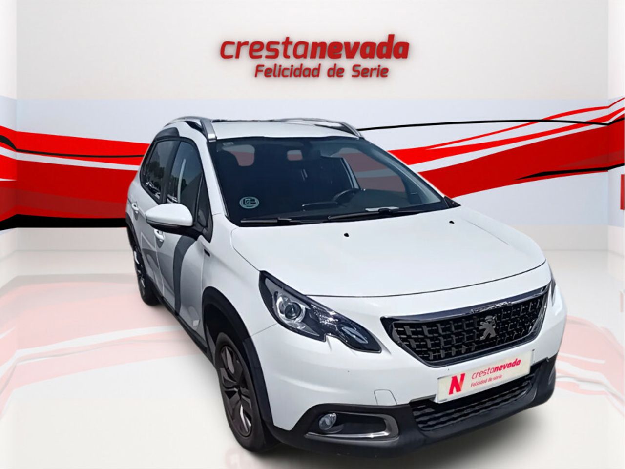 peugeot 2008 2019 / foto grande (3)