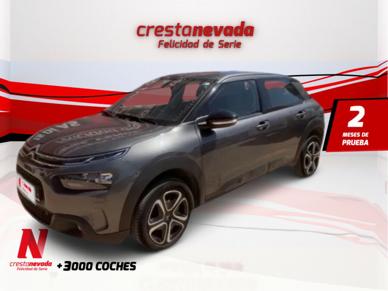 Foto citroën c4 cactus 2019 /