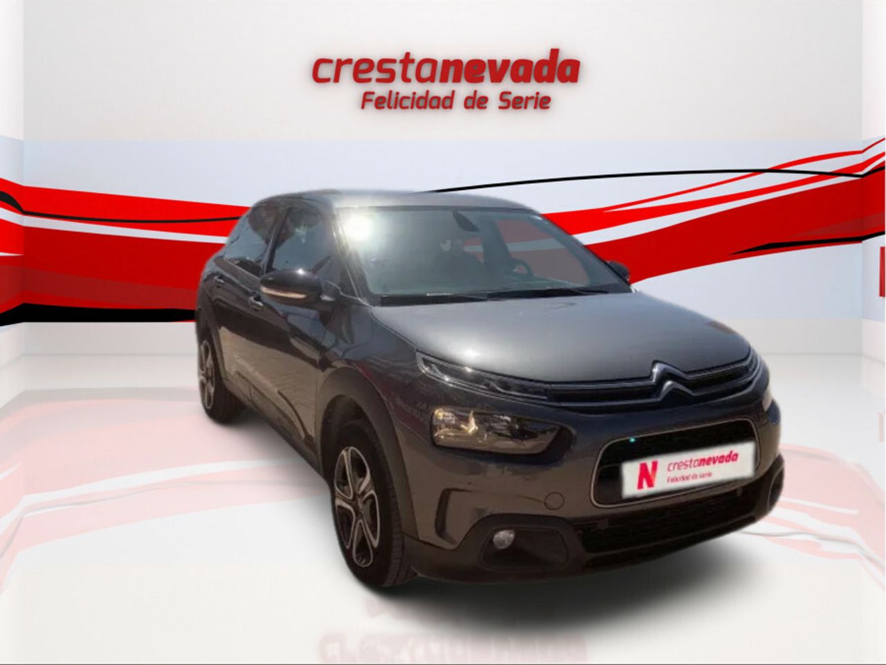 citroën c4 cactus 2019 / foto grande (3)