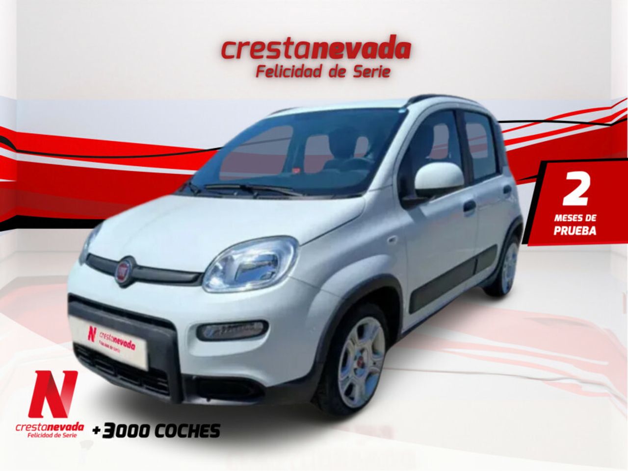 Foto fiat panda 2022 /