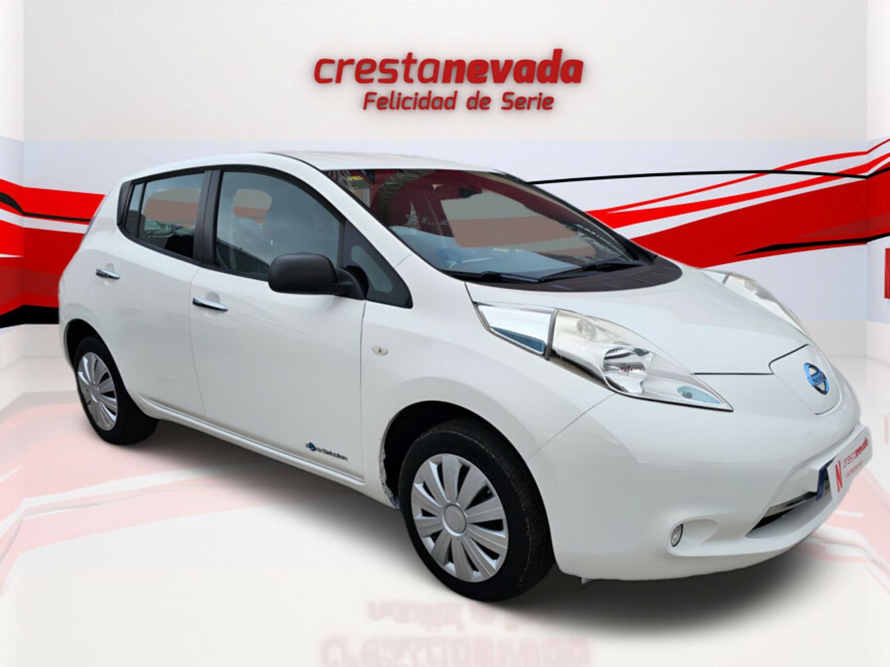 nissan leaf 2014 / foto grande (2)