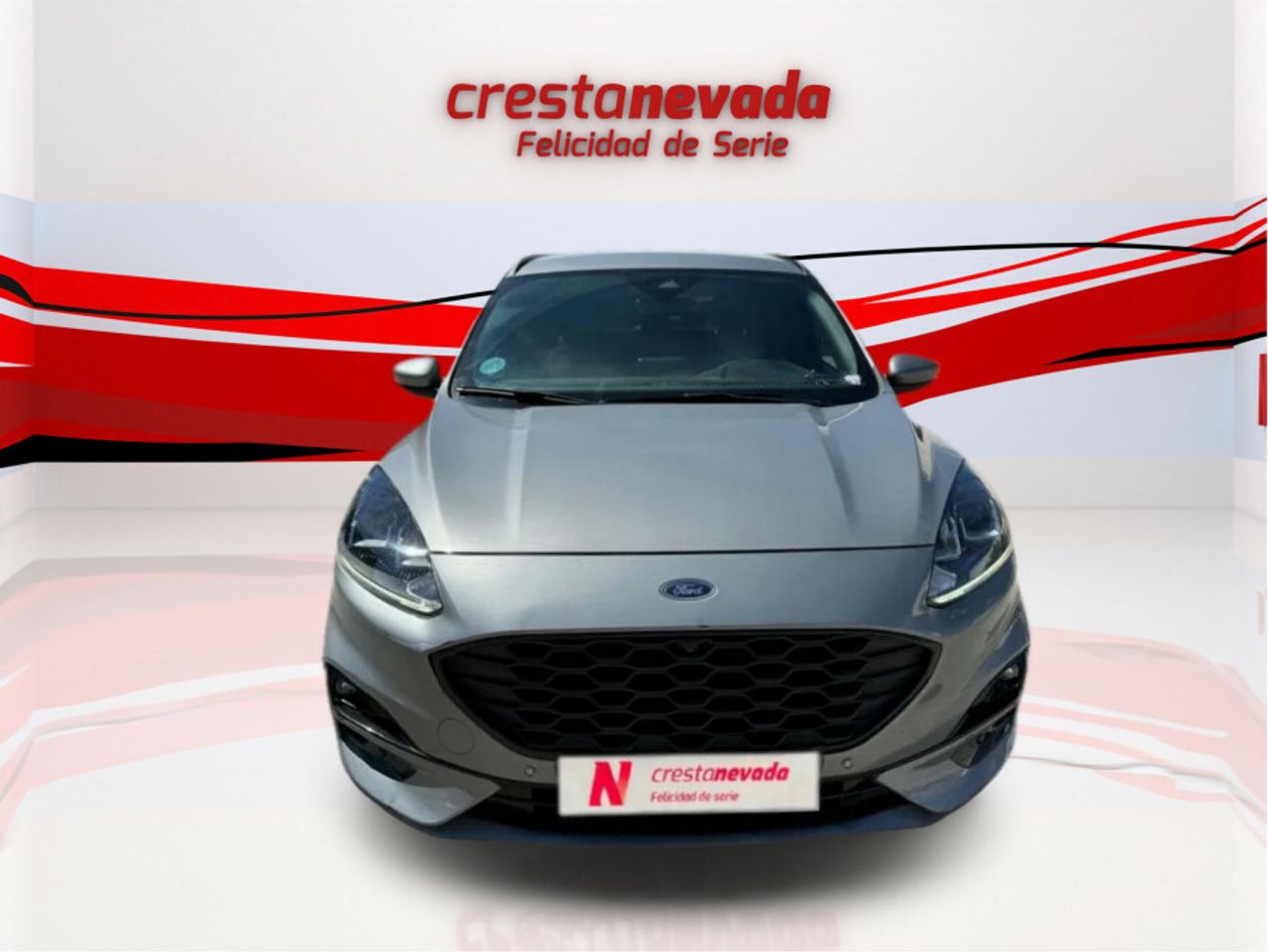 ford kuga 2022 / foto grande (2)