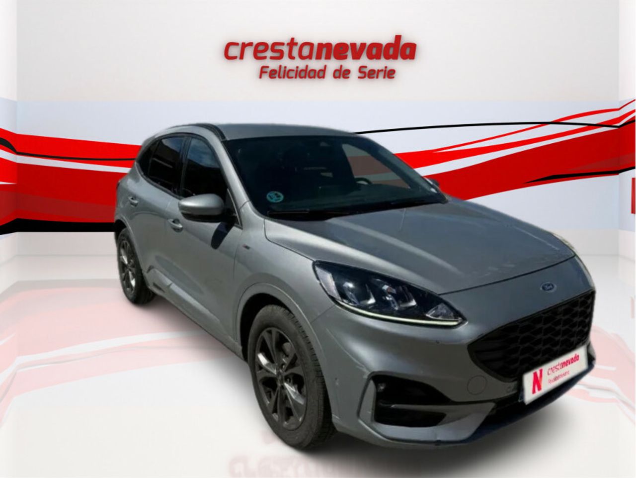 ford kuga 2022 / foto grande (3)