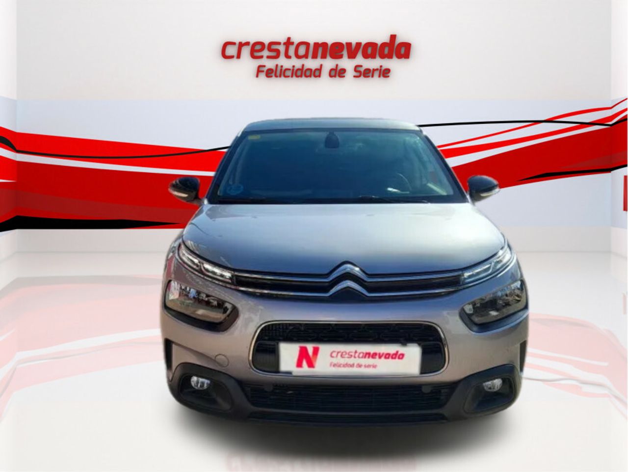 citroën c4 cactus 2020 / foto grande (2)