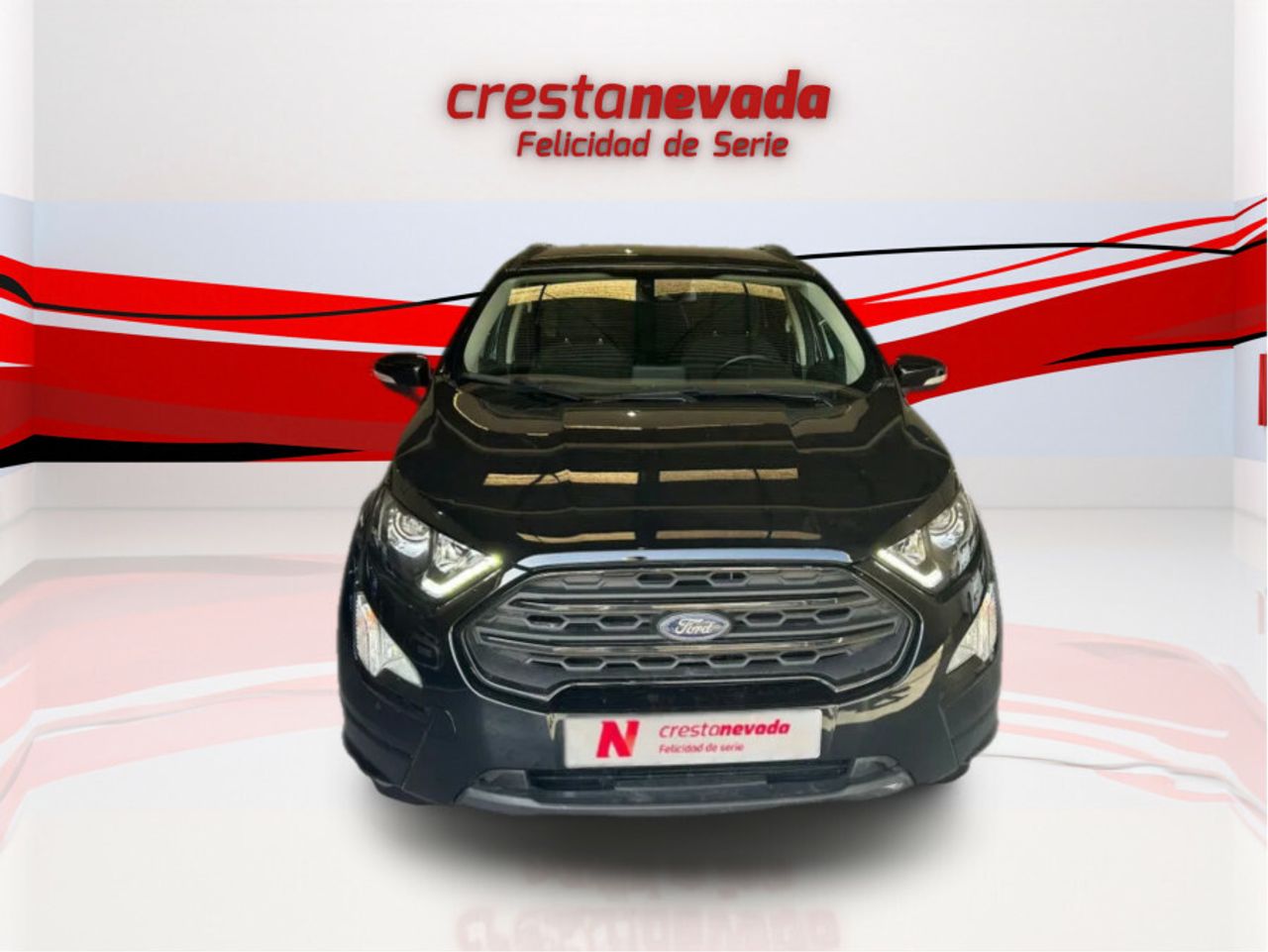 ford ecosport 2021 / foto grande (2)