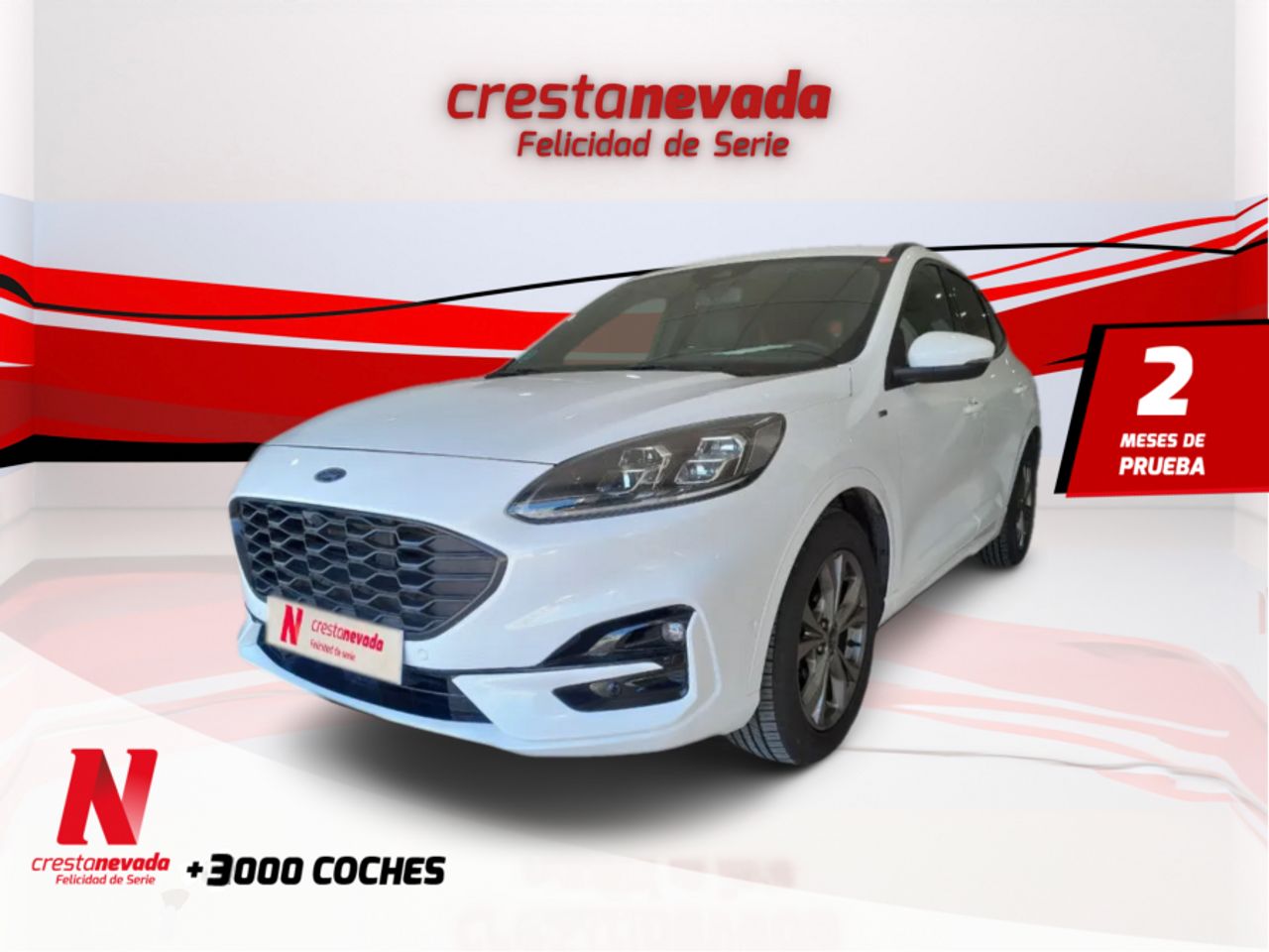 Foto ford kuga 2022 /