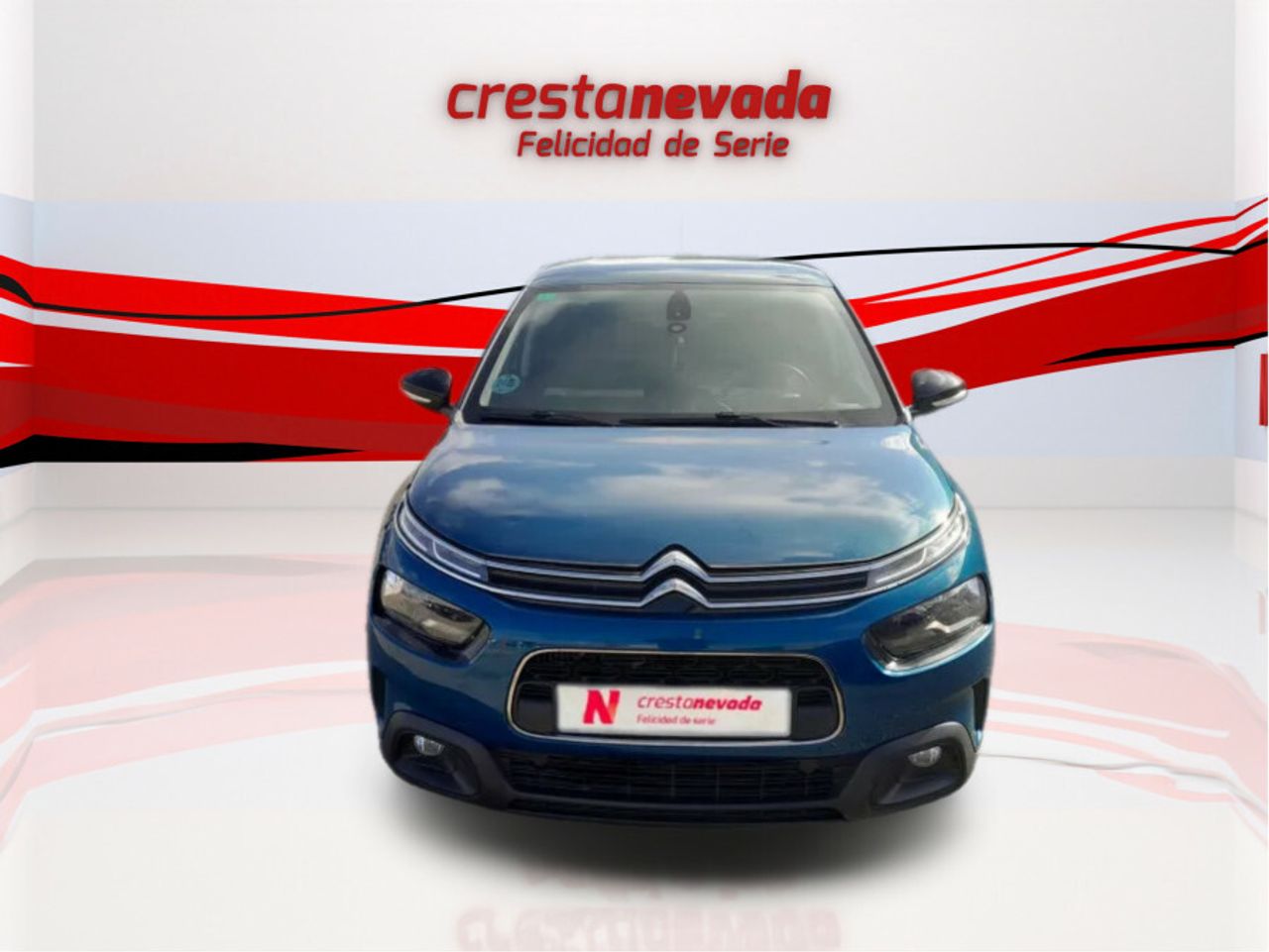 citroën c4 cactus 2019 / foto grande (2)