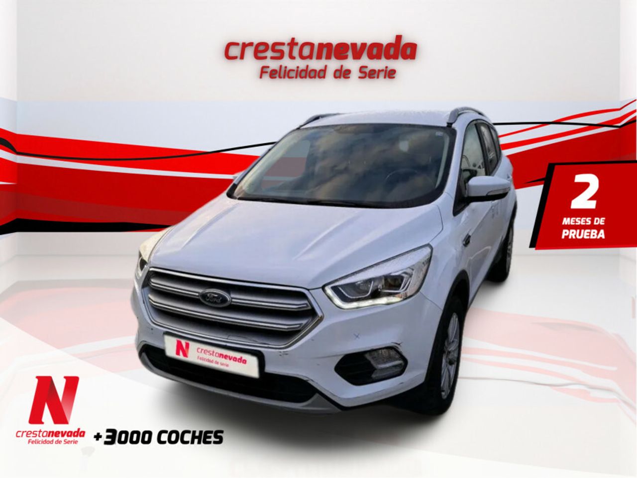 Foto ford kuga 2019 /