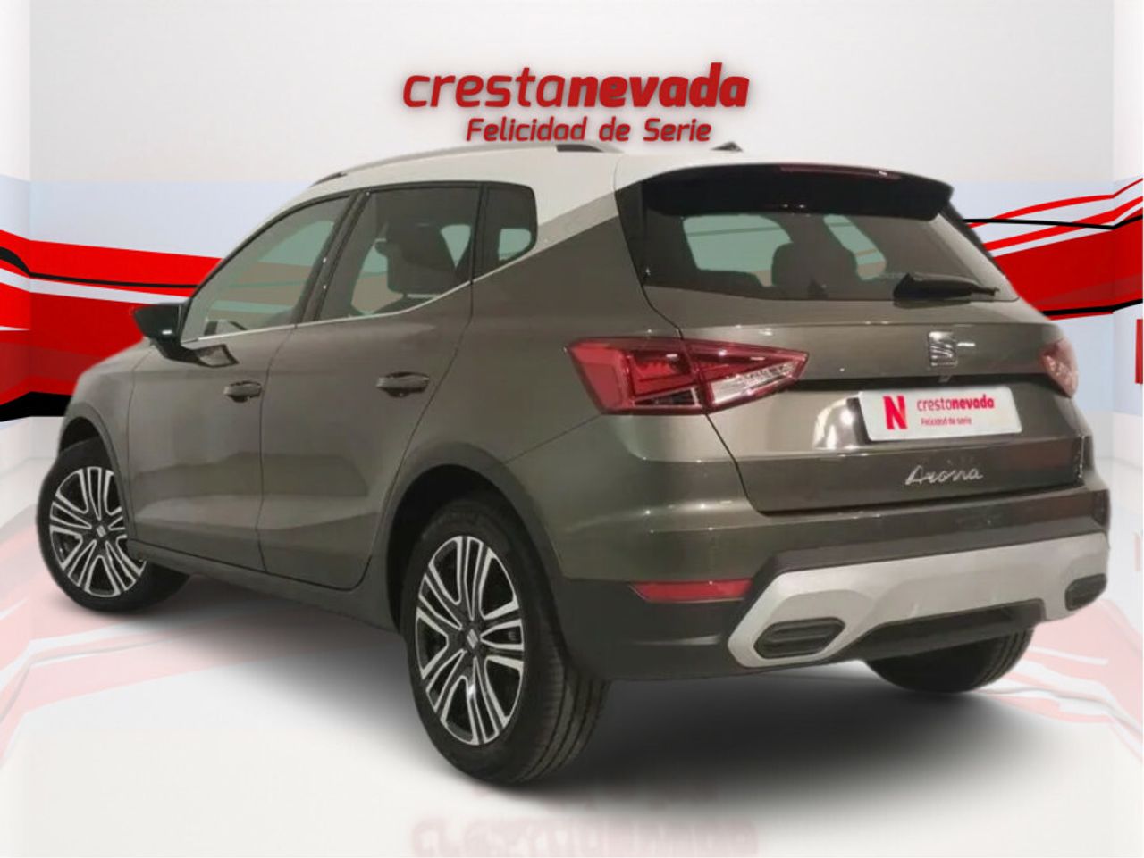 seat arona 2024 / foto grande (3)