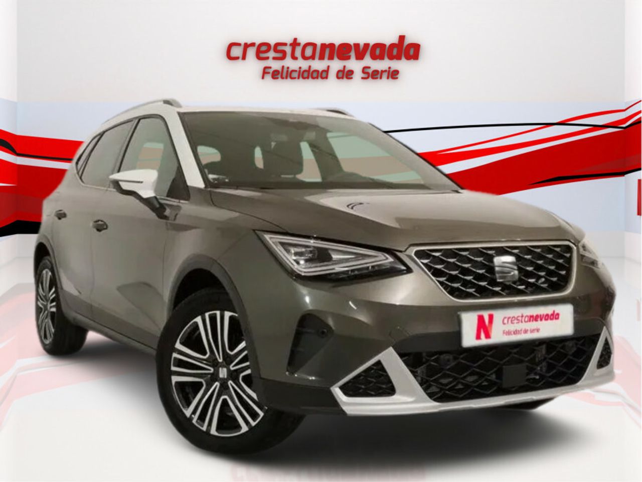 seat arona 2024 / foto grande (2)