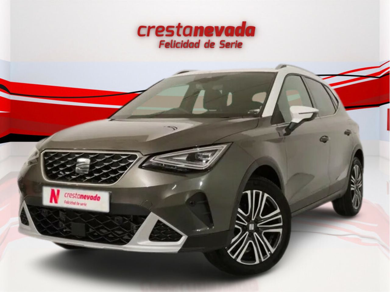 Foto seat arona 2024 /