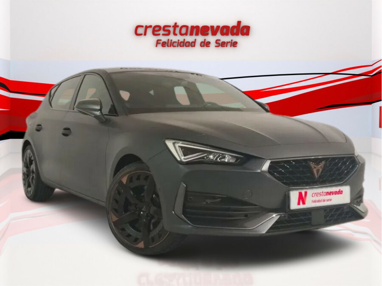 cupra león 2023 / foto grande (2)