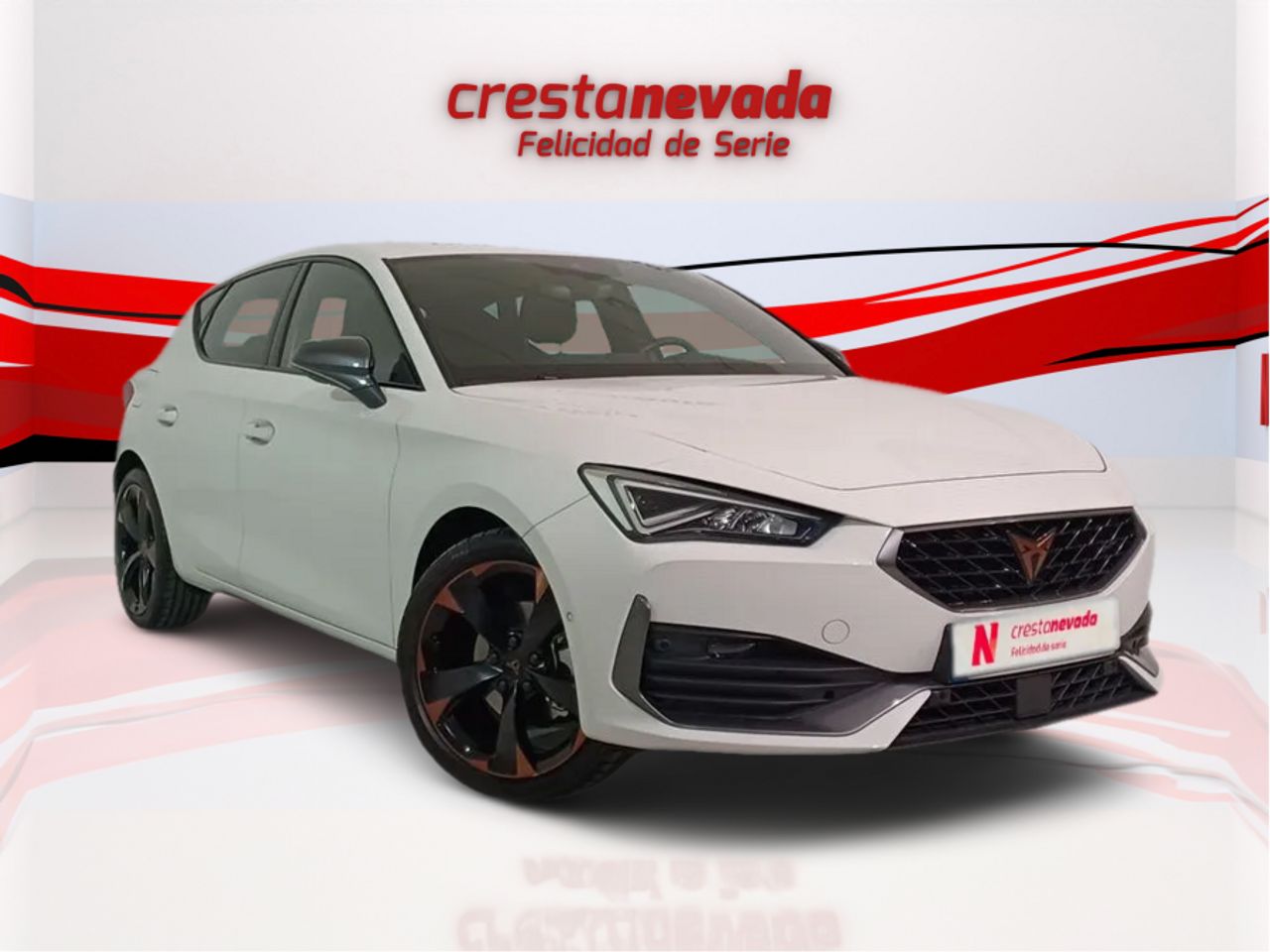 cupra león 2022 / foto grande (2)