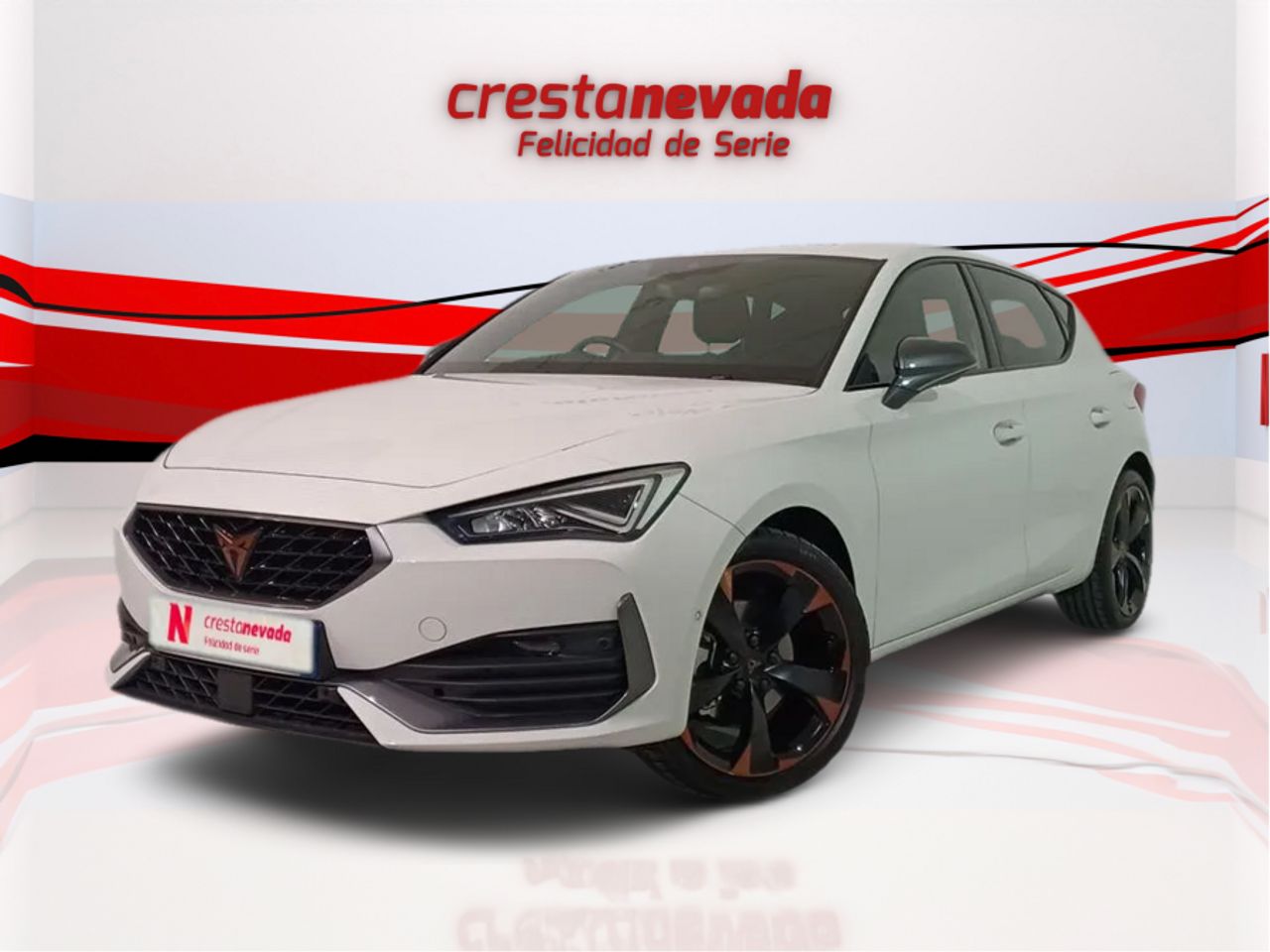Foto cupra león 2022 /