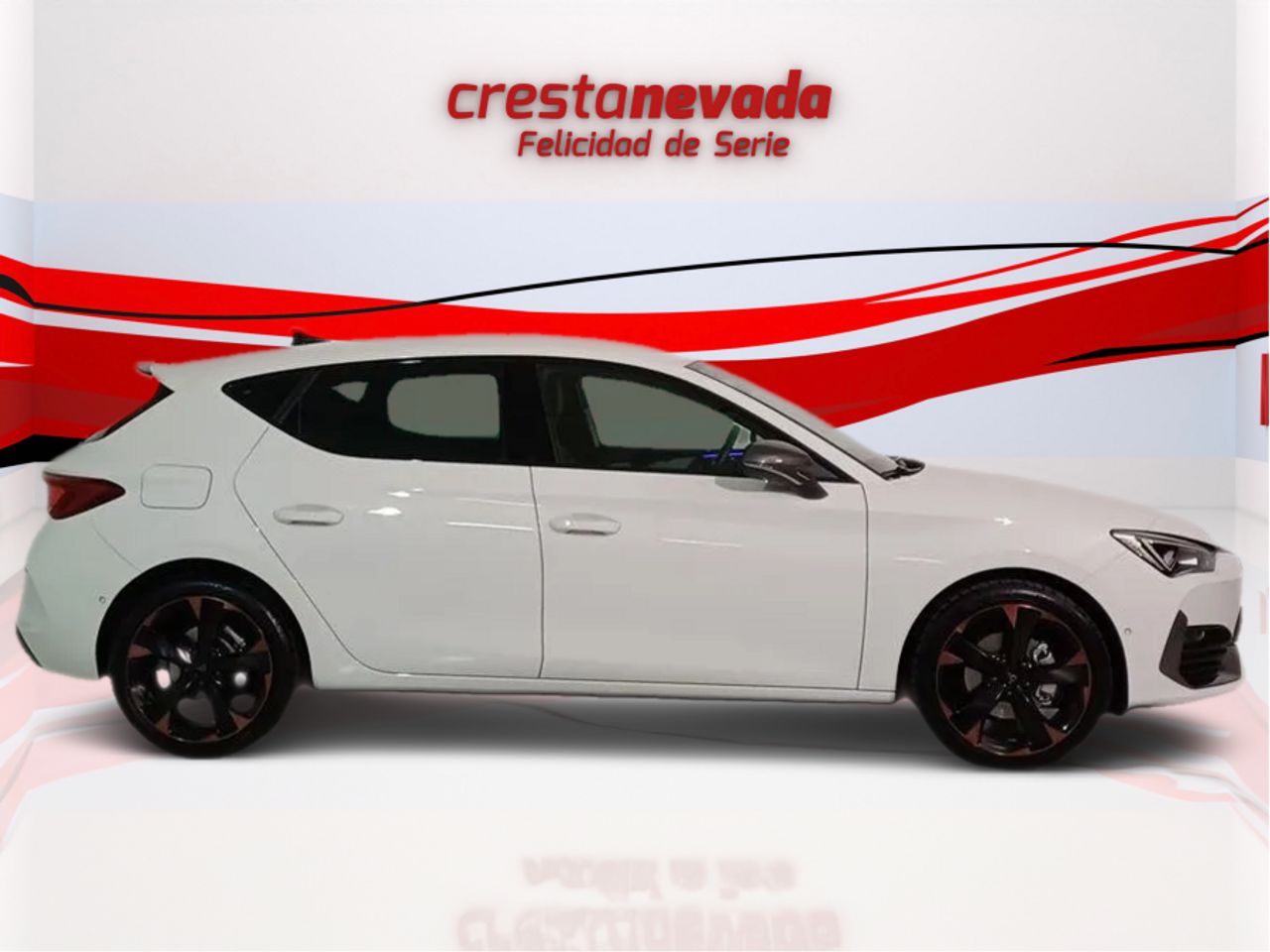 cupra león 2022 / foto grande (3)