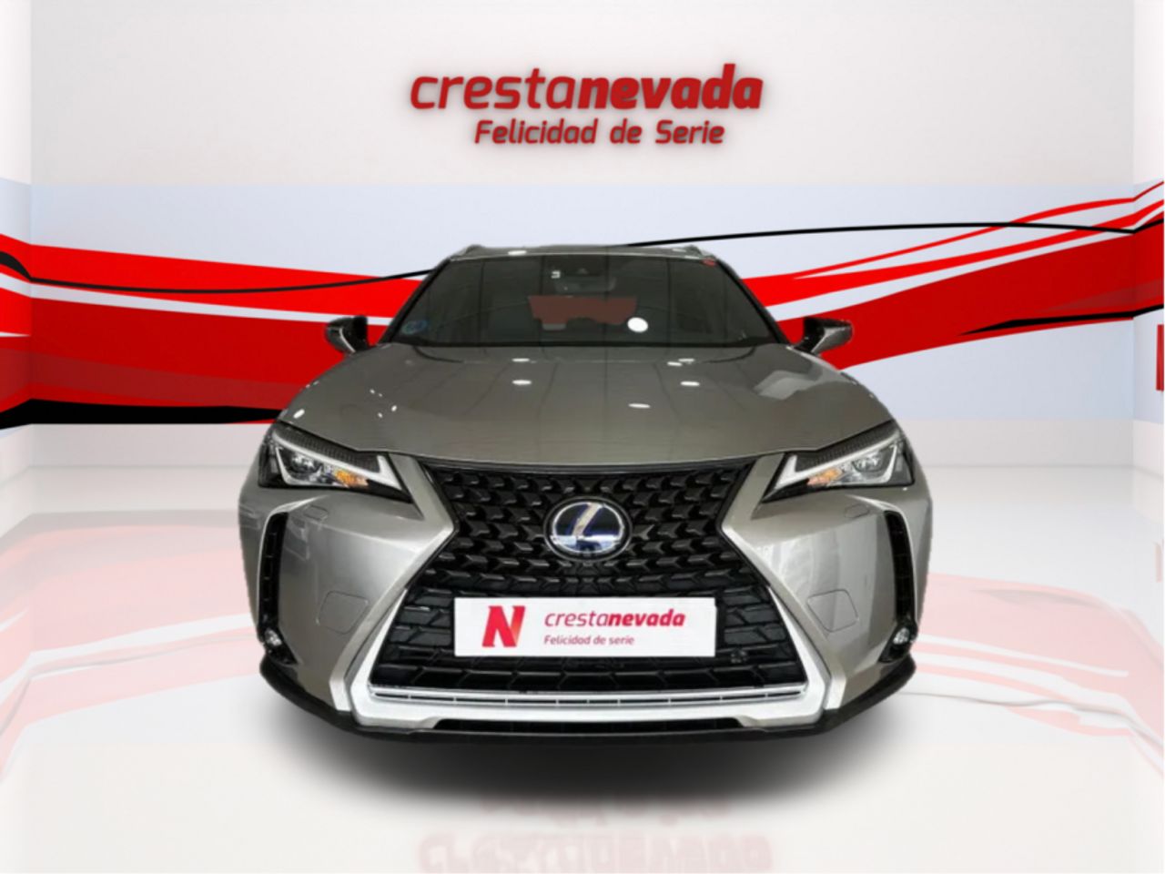 lexus ux 2022 / foto grande (2)