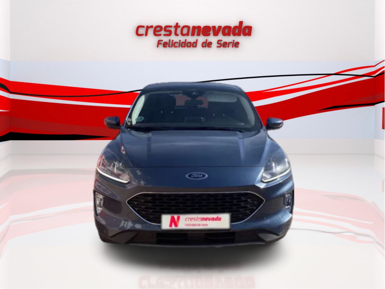 ford kuga 2022 / foto grande (2)