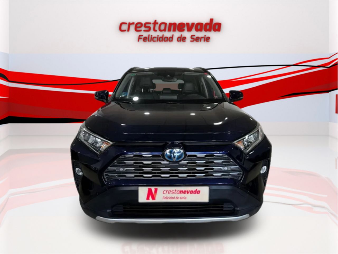 toyota rav4 2019 / foto grande (2)