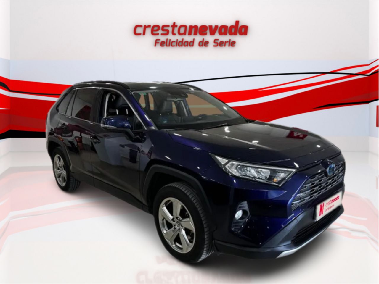 toyota rav4 2019 / foto grande (3)