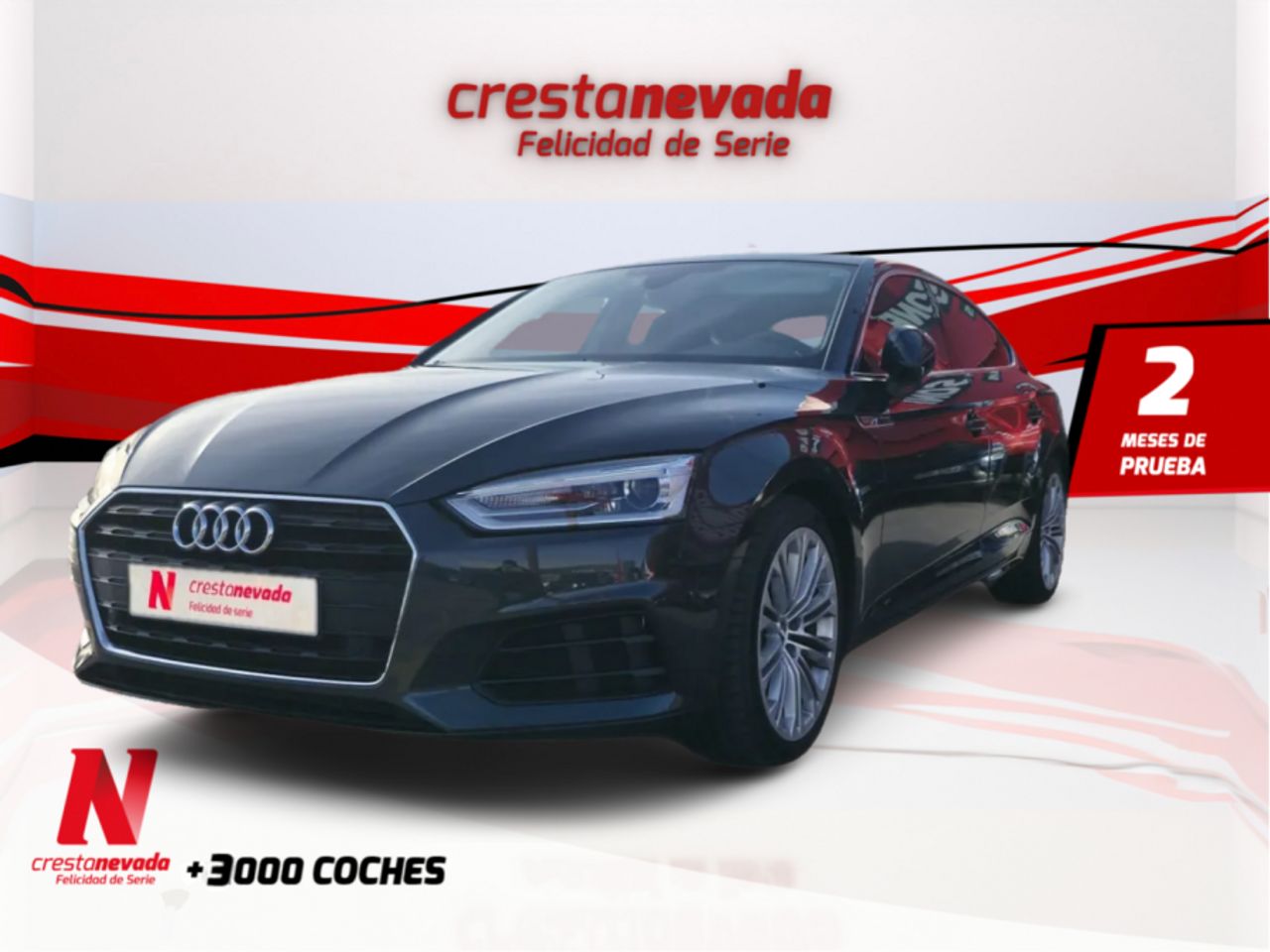 Foto audi a5 2019 /