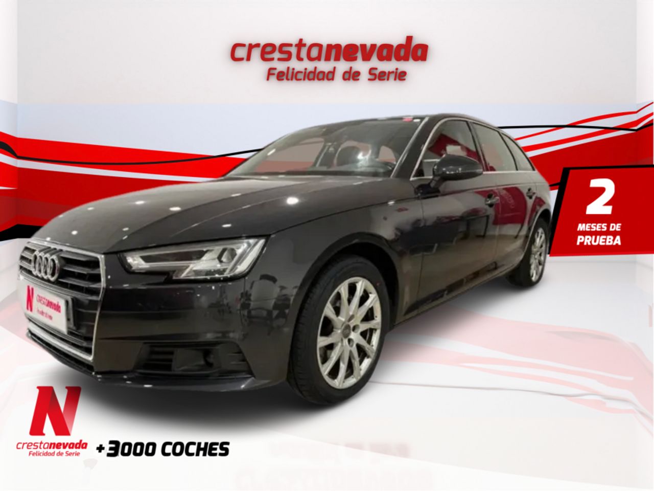 Foto audi a4 2019 /