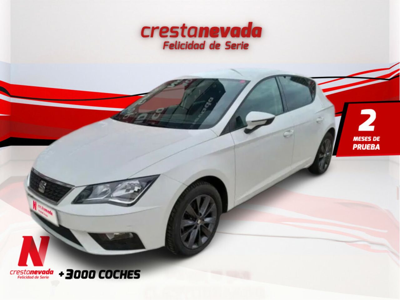 Foto seat leon 2019 /