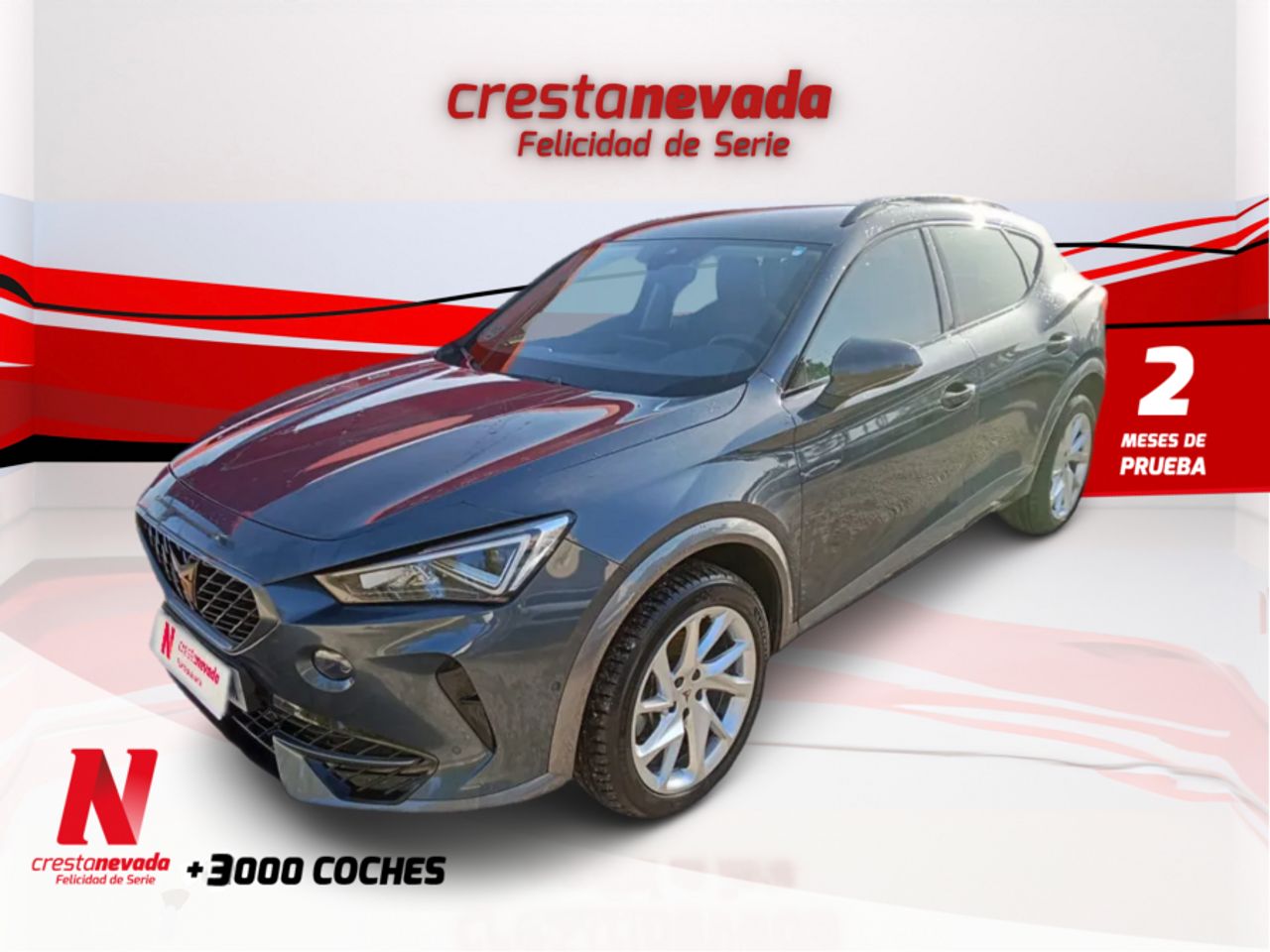 Foto cupra formentor 2022 /