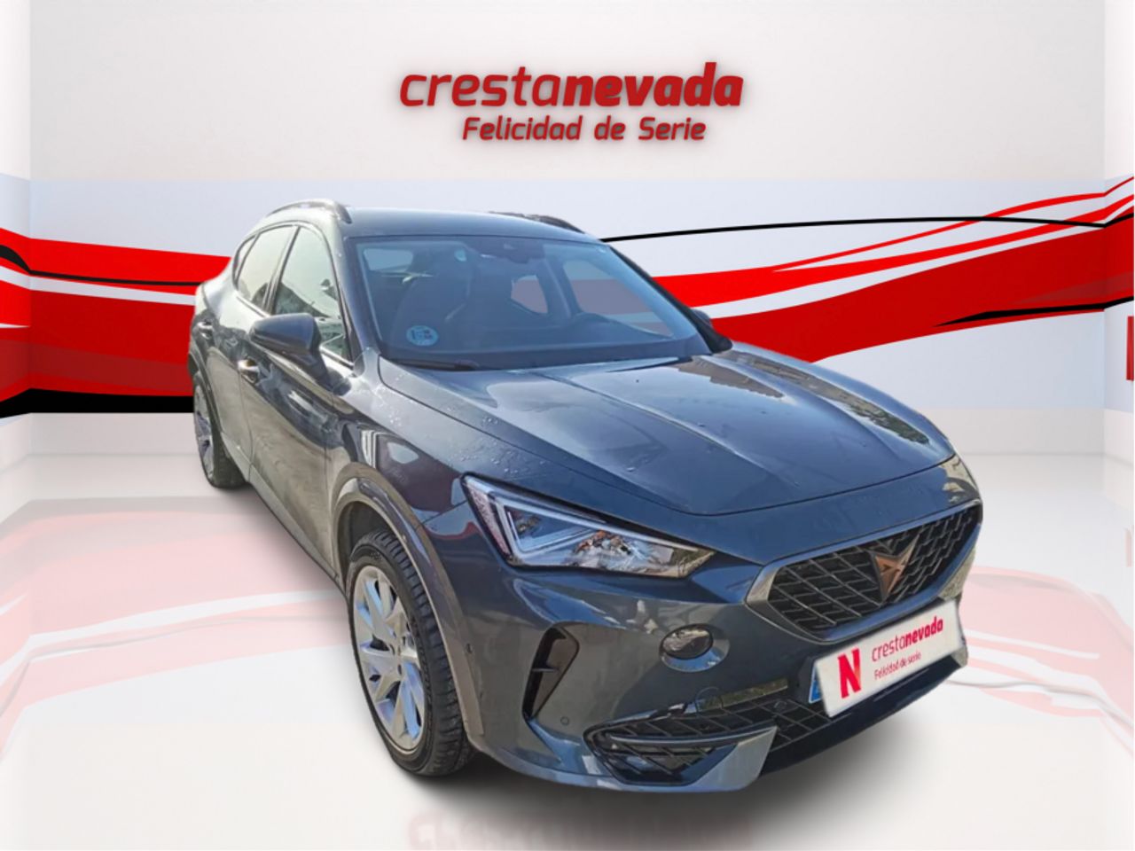 cupra formentor 2022 / foto grande (3)