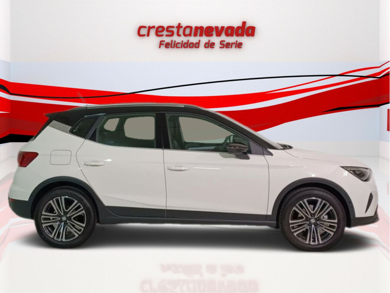 seat arona 2023 / foto grande (2)