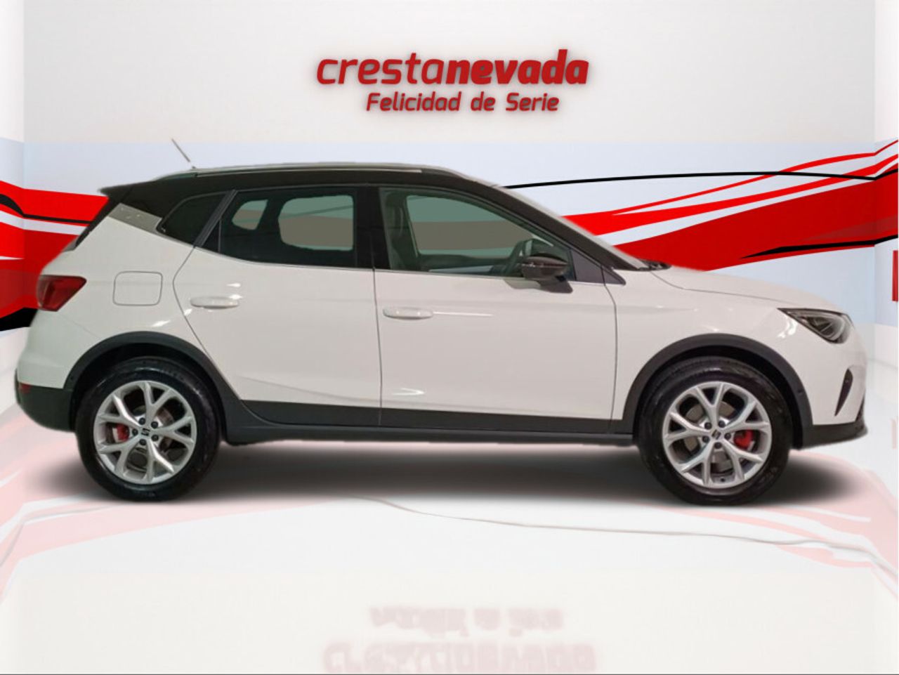 seat arona 2023 / foto grande (3)