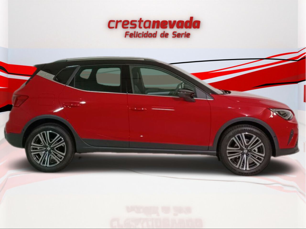 seat arona 2023 / foto grande (3)