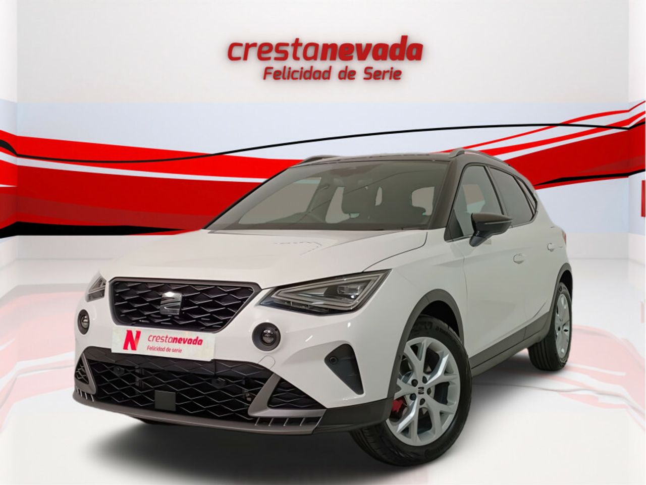 Deposito 30000 litros  de segunda mano - seat arona 2023 /